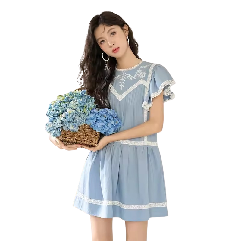 Romantic Blue Embroidered Mini Dress