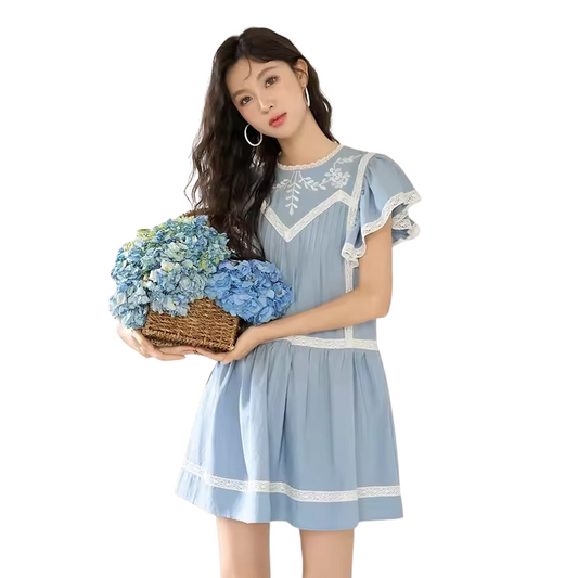Romantic Blue Embroidered Mini Dress
